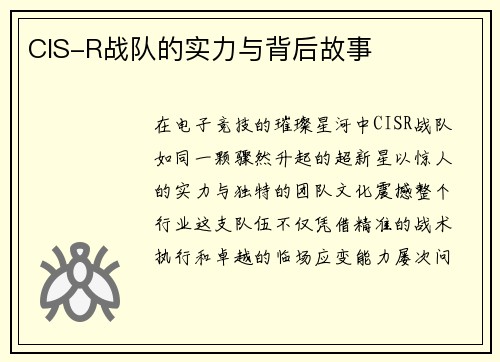 CIS-R战队的实力与背后故事