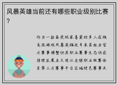 风暴英雄当前还有哪些职业级别比赛？